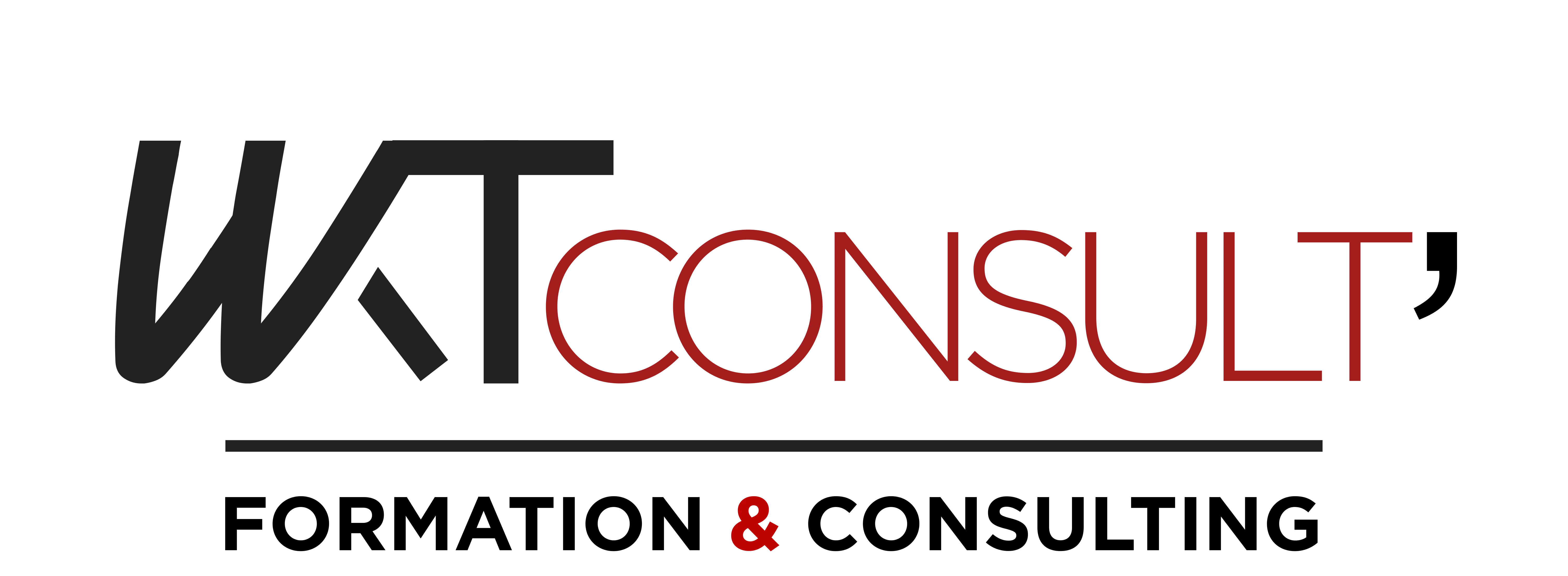 Website Analyzer Logo